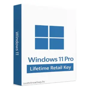 Windows 11 Pro Lifetime Retail Key