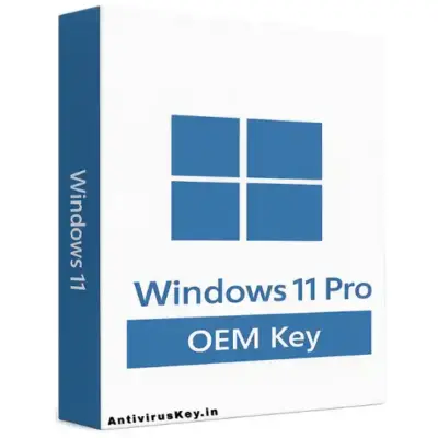 Windows 11 Pro OEM License Key