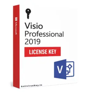 Visio Professional 2019 License Key