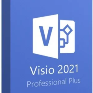 Visio Professional 2021 License Key