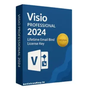 Visio Professional 2024 Lifetime Email Bind License Key